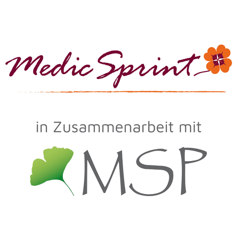 MSP bodmann GmbH logo