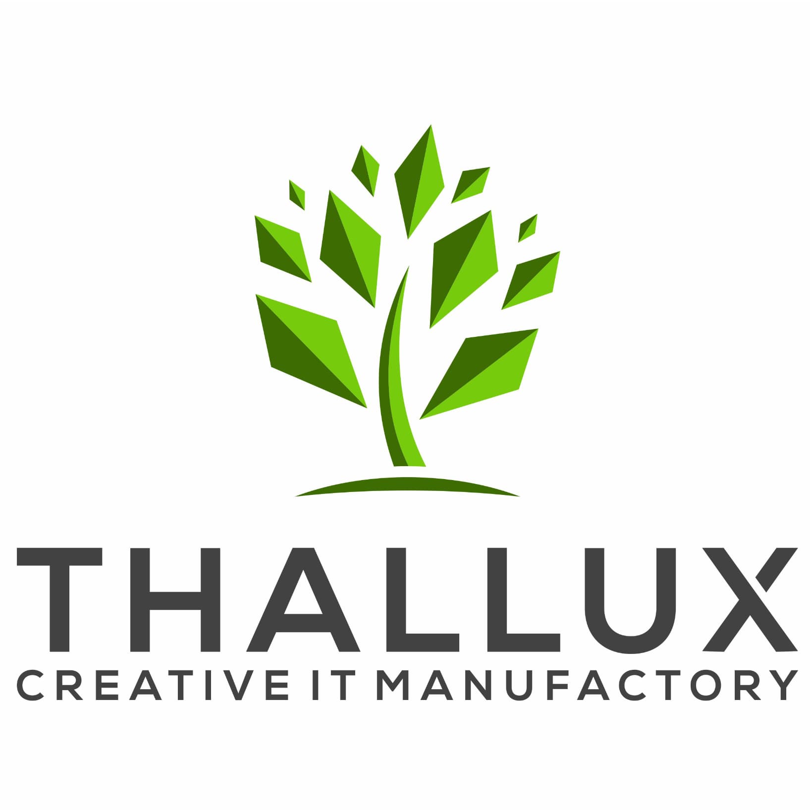 THALLUX GmbH logo