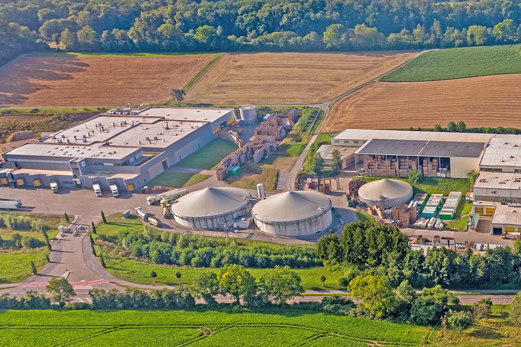 Wild GmbH