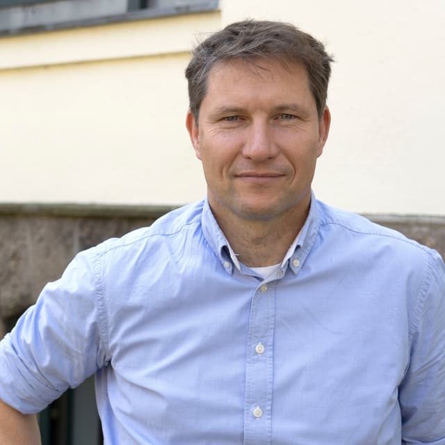 Stephan  Haller-Link